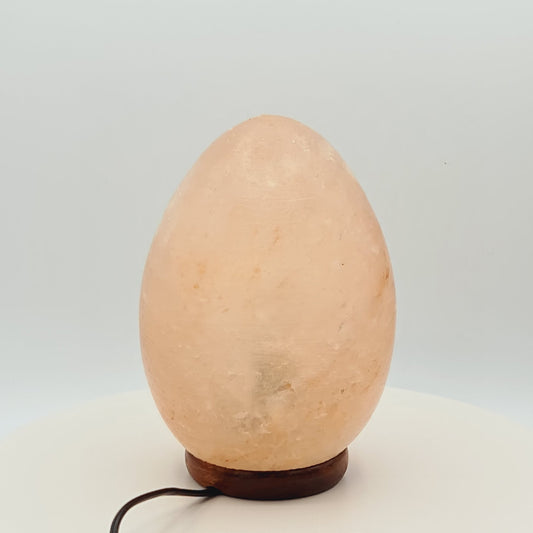 Himalayan Salt Lamp - Egg/Oval
