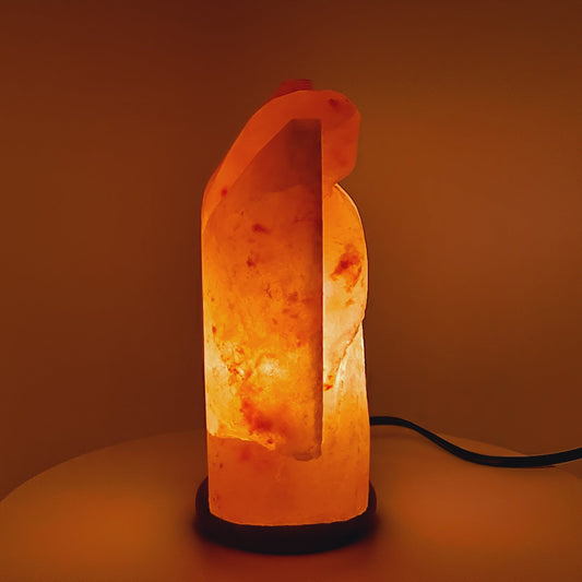 Himalayan Salt Lamp - Angel